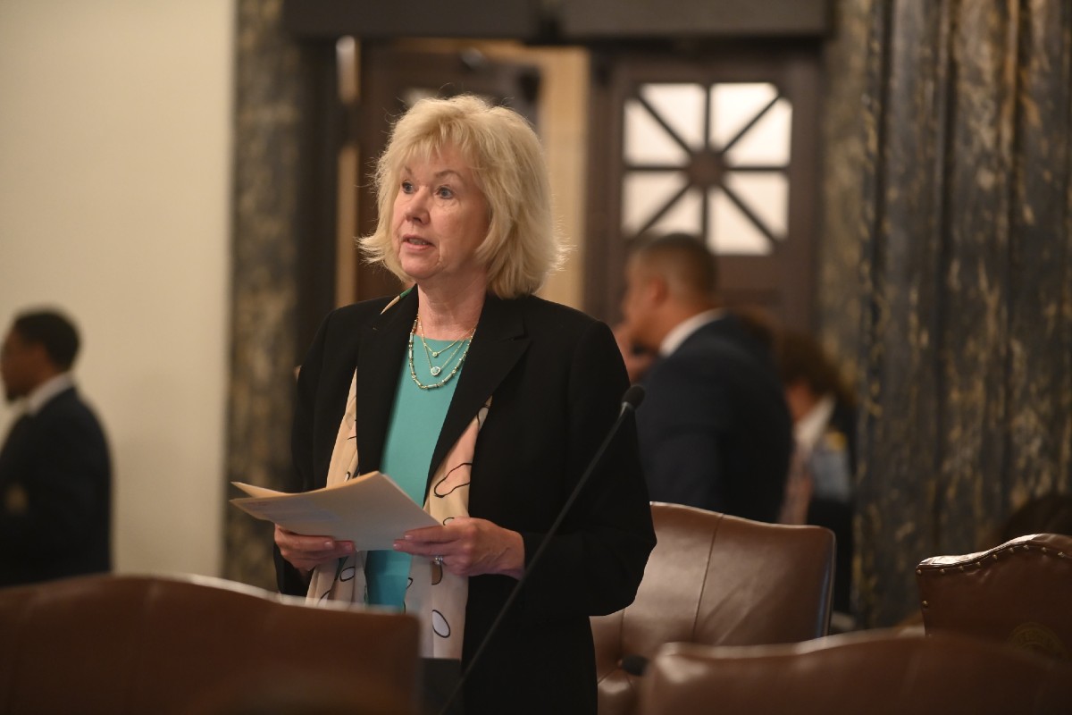 State Senator Julie Morrison on the Senate Floor