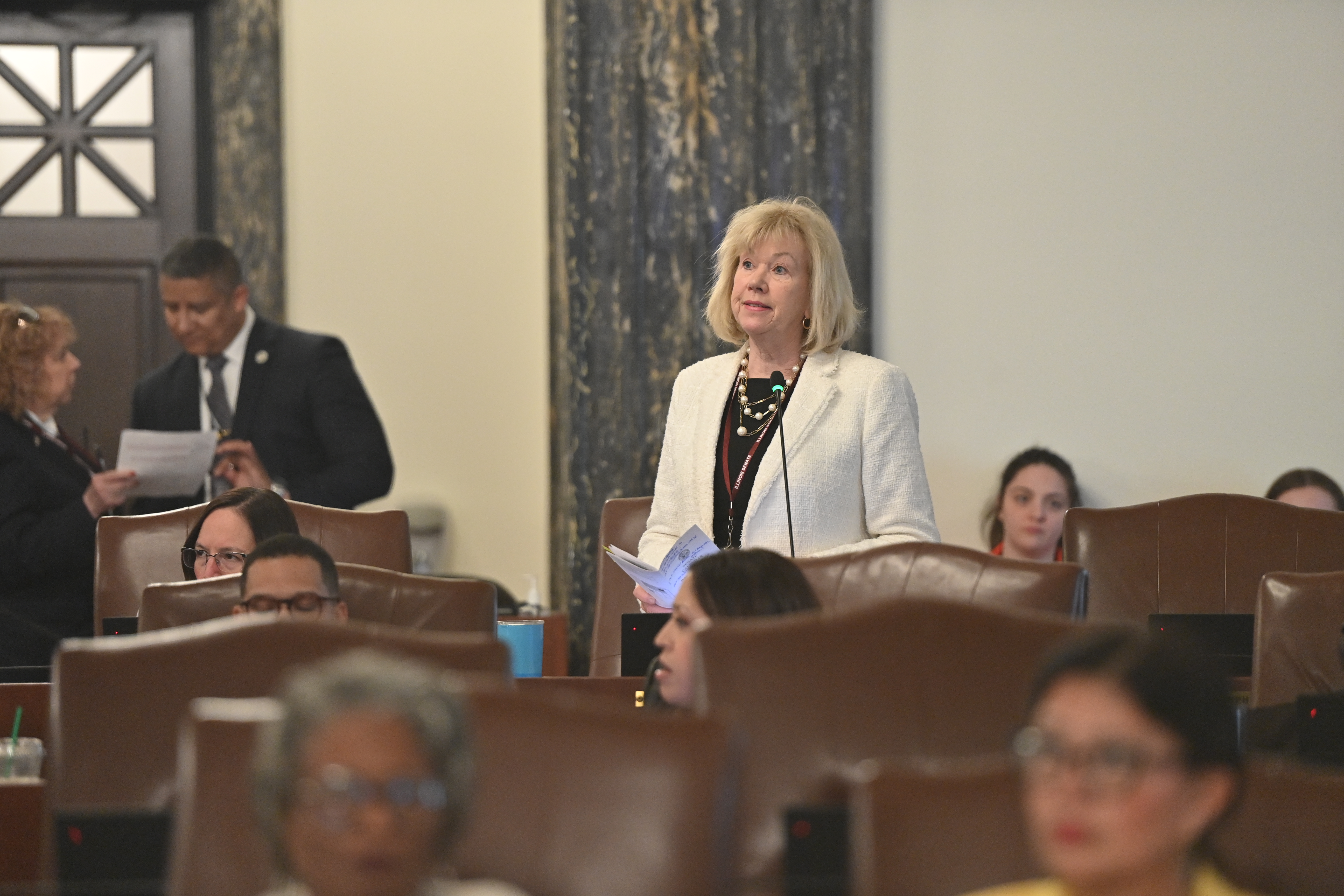State Senator Julie Morrison testifying on the Senate floor