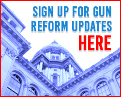 Gun Reform Updates
