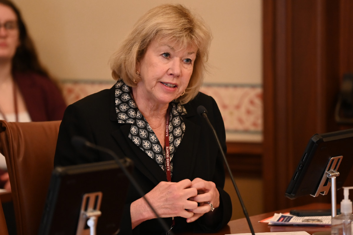 Senator Morrison speaks into a microphone during a committee hearing.
