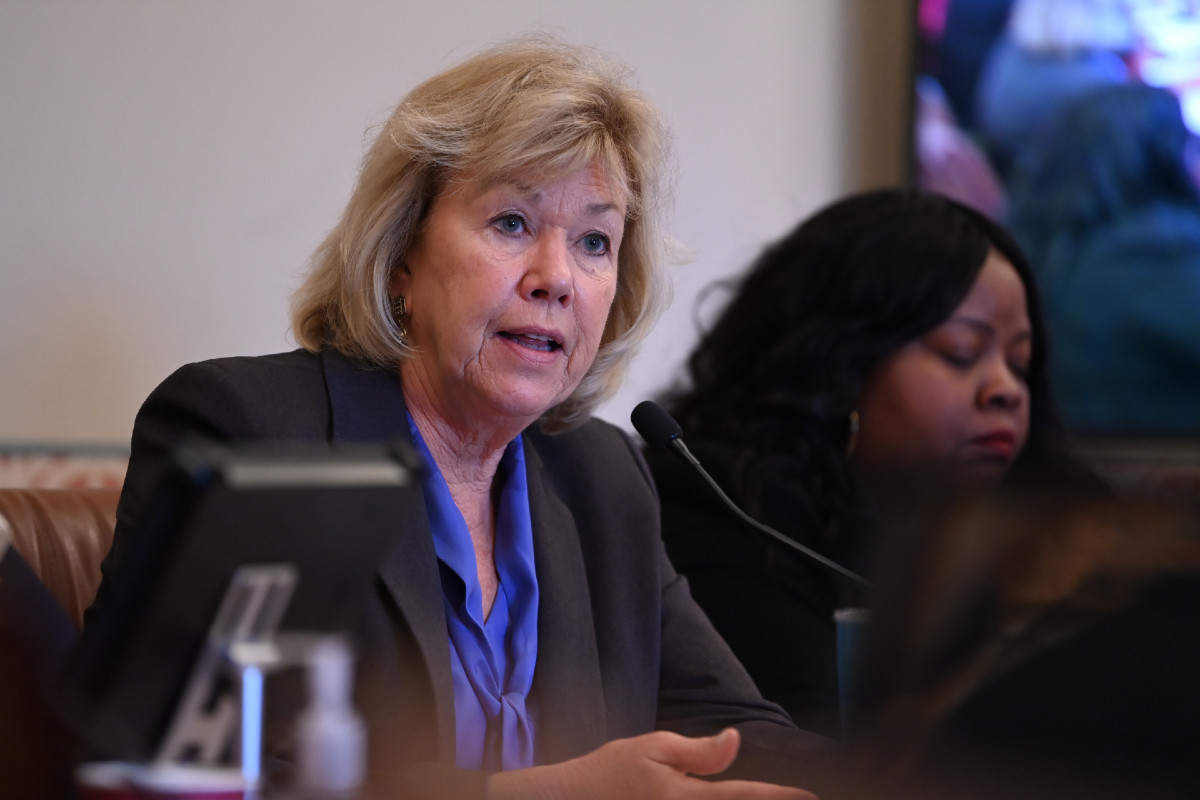 Senator Morrison speaks into a microphone during a committee hearing.