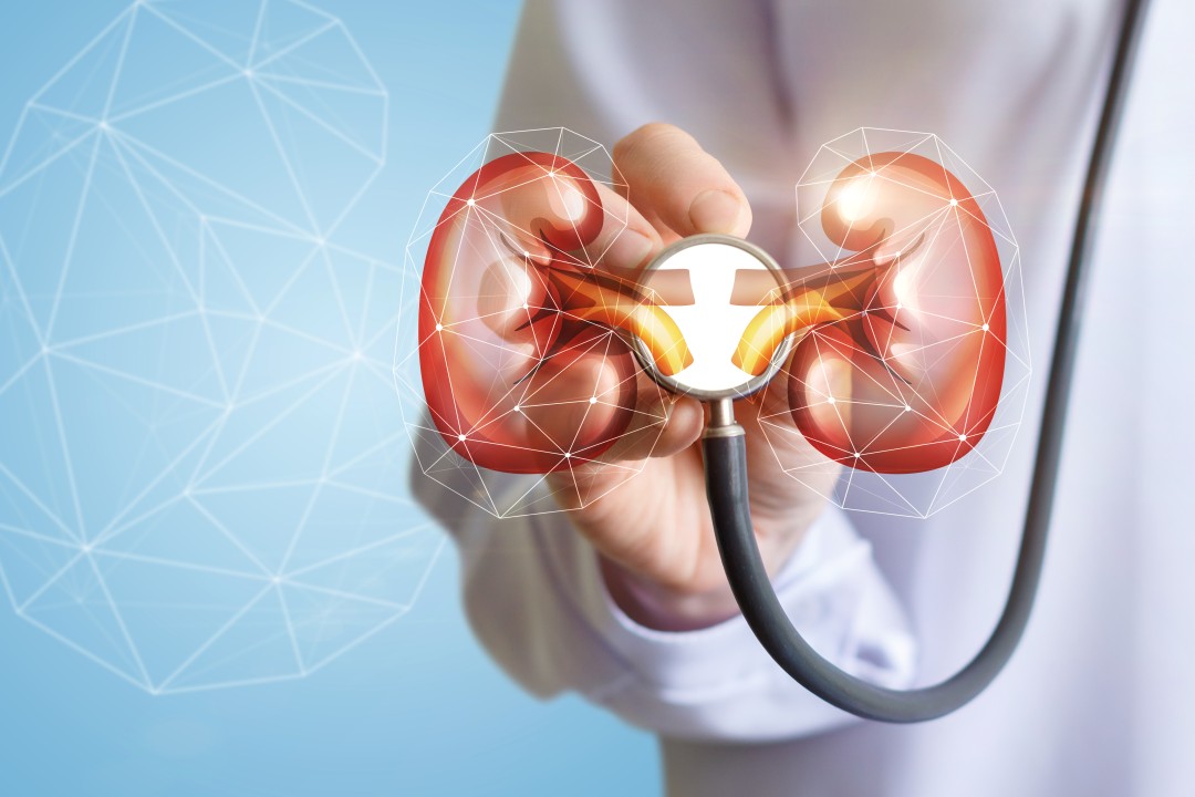 A doctor with a stethoscope to an illustration of two kidneys.