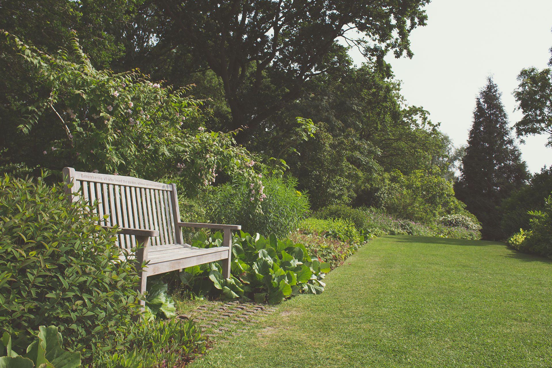 A wooden bench in a garden along a flat grassy path.