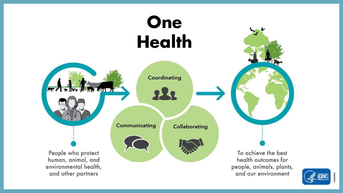 An infographic that illustrates this message related to One Health: People who protect human, animal, and environmental health and other partners, coordinating, communicating and collaborating, to achieve the best health outcomes for people, animals, plants, and our envrionment. Centers for Disease Control and Prevention.