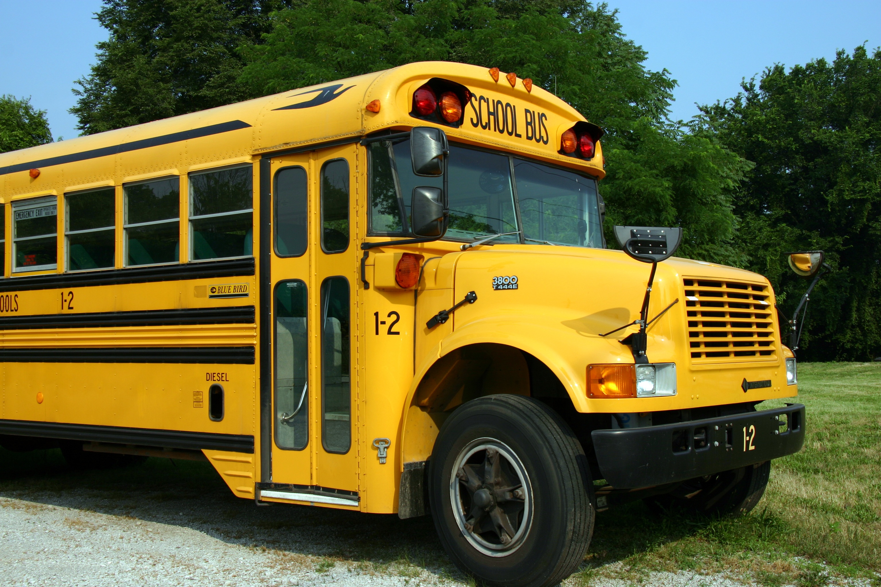 The front half of a parked school bus.