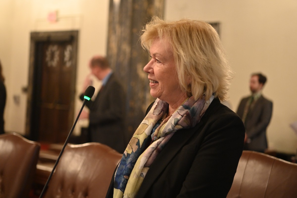 State Senator Julie Morrison