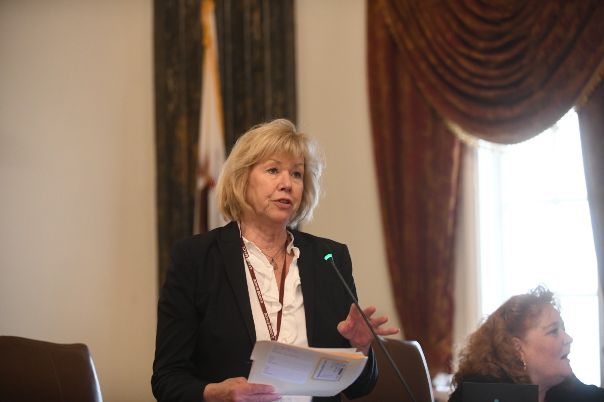 State Senator Julie Morrison
