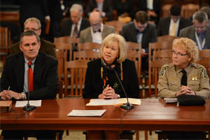 Proposal acknowledges consolidation efforts by Village of Deerfield