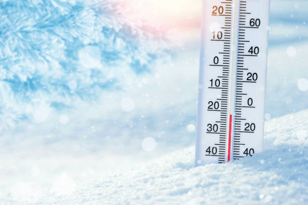 istockphoto 1067764520 612x612